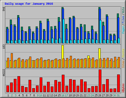 Daily usage for January 2016