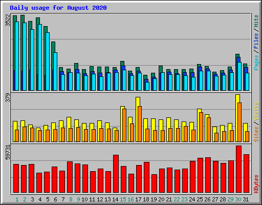 Daily usage for August 2020