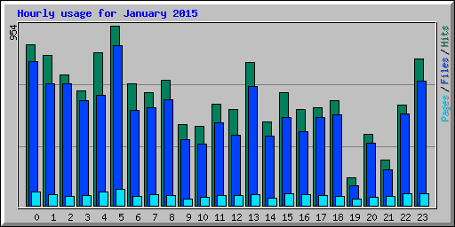 Hourly usage for January 2015