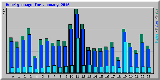 Hourly usage for January 2016