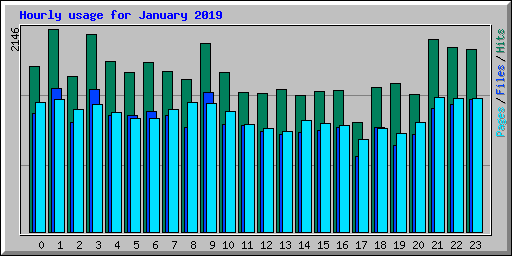 Hourly usage for January 2019