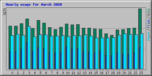 Hourly usage for March 2020