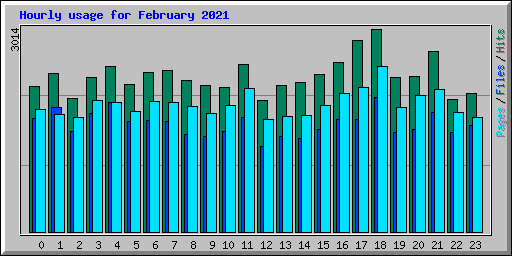 Hourly usage for February 2021